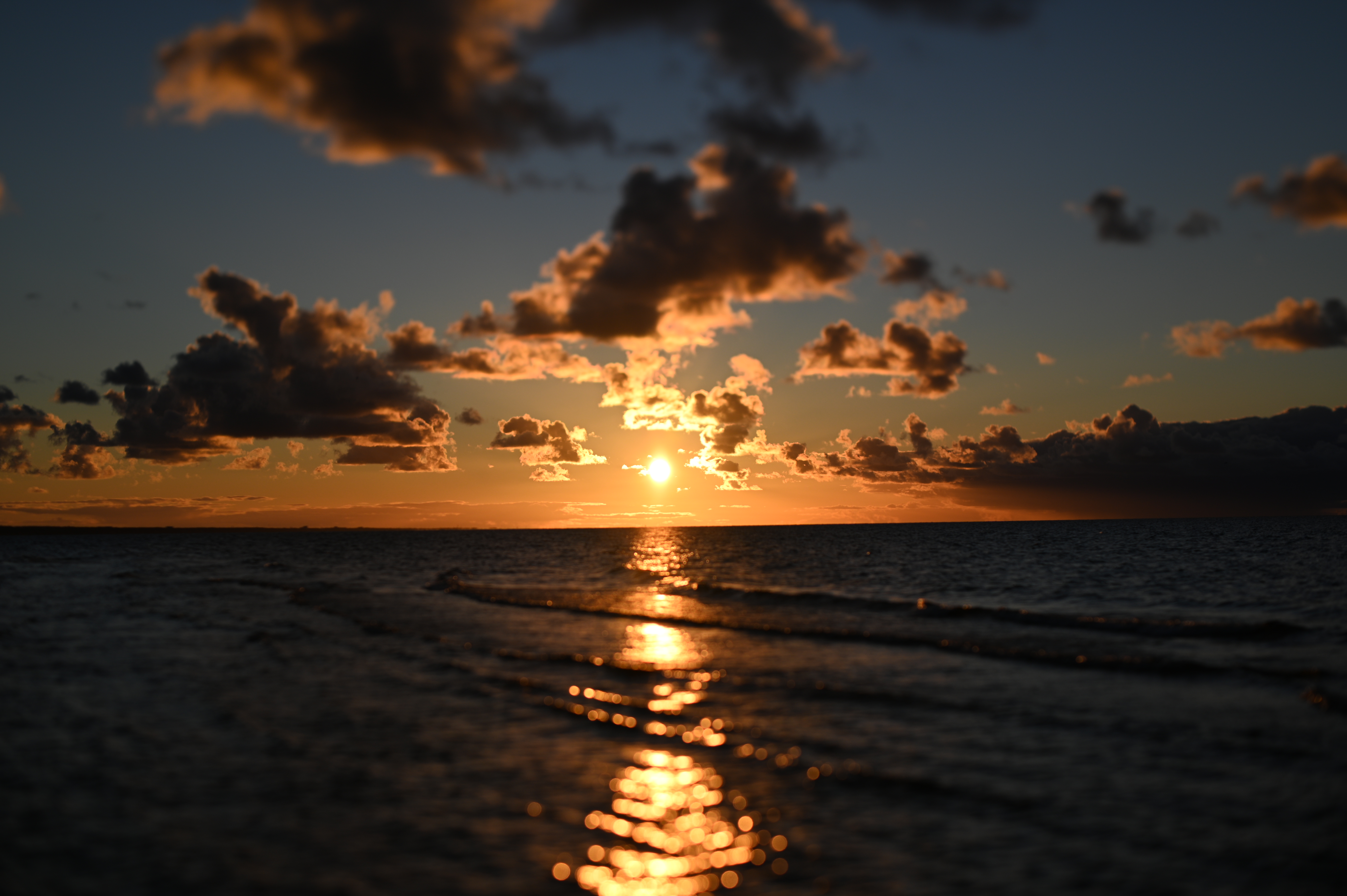 2025/10/18 - walk/DSC_0367.JPG